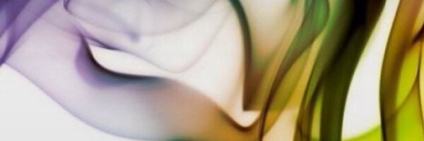 MisterNo__ Profile Banner