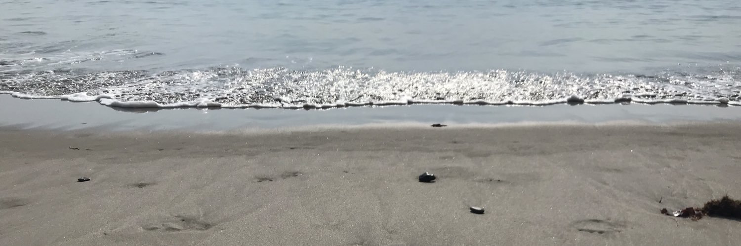 David A. Frankel 🦅 banner