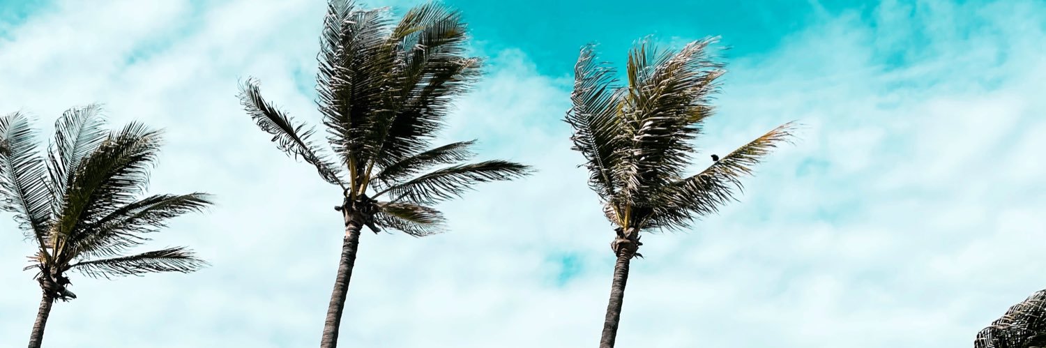 montserl_'s profile banner image