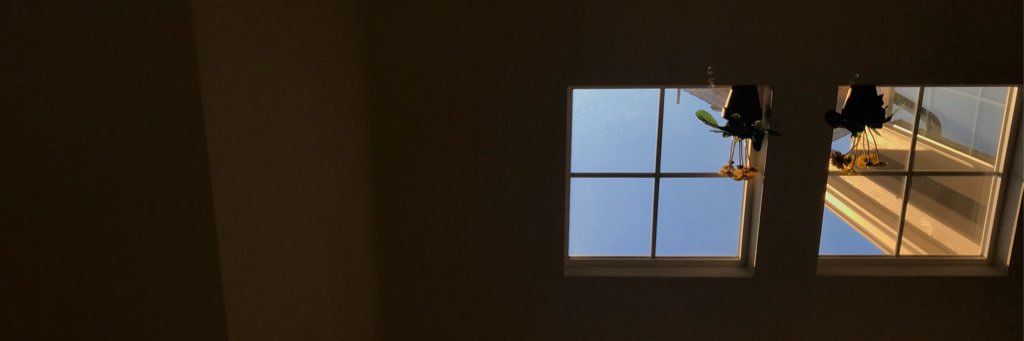 jongcollette's profile banner image