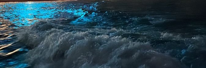 erizonsosing's profile banner image