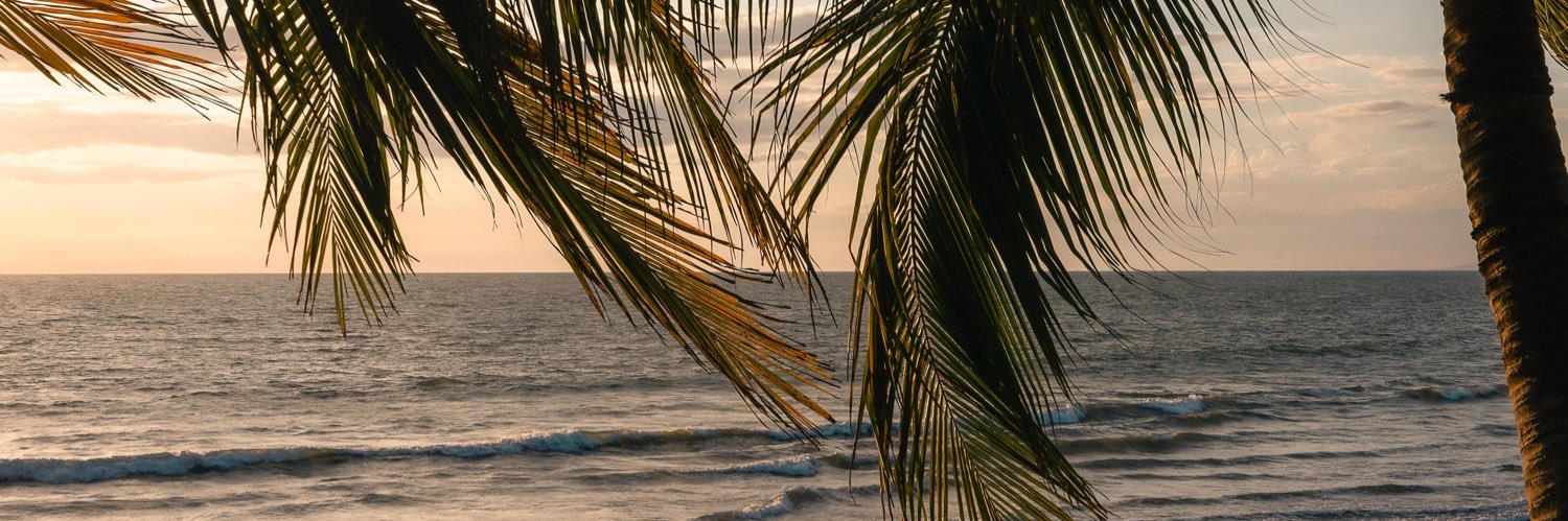 dvalzdc's profile banner image
