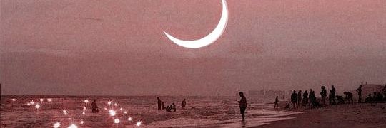 mariajoF02's profile banner image