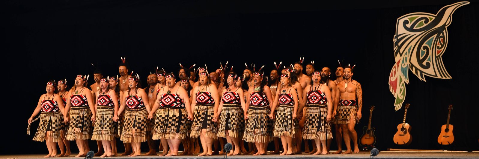 Te Puoho Katene banner