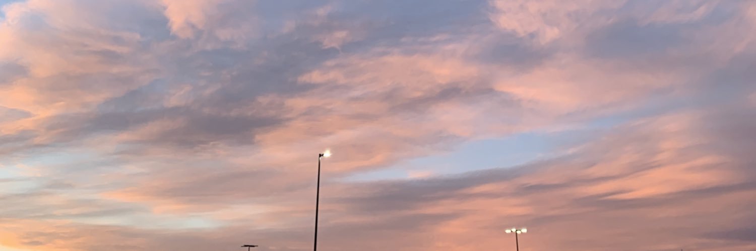 regangreatrix's profile banner image