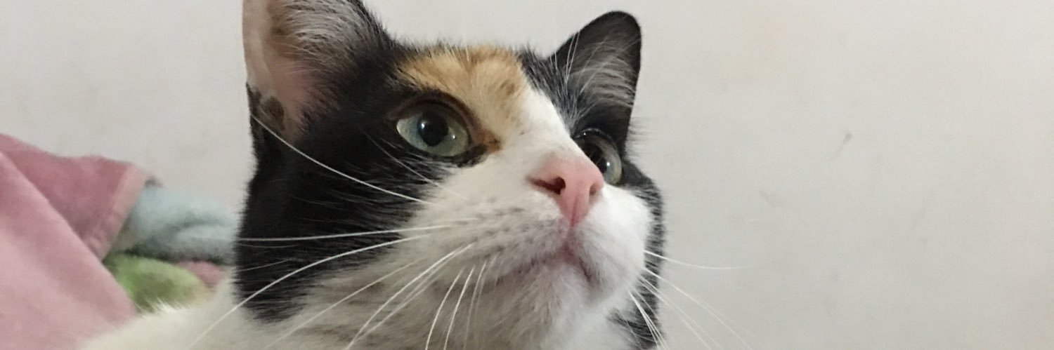Erikaaaval's profile banner image