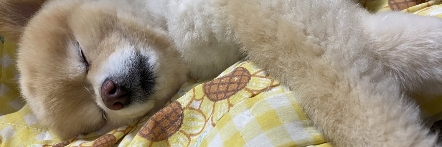 malukiku's profile banner image