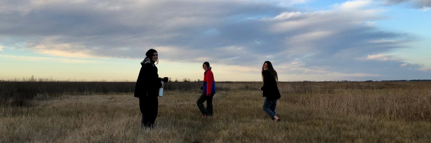 delfimarti's profile banner image