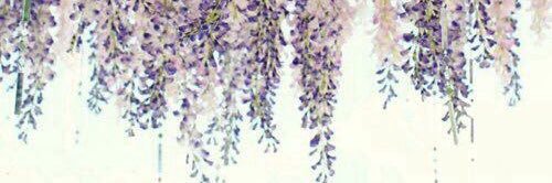 andreacoroona's profile banner image