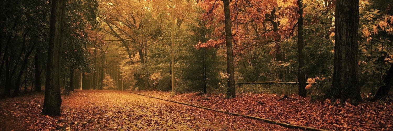 JeffDMosier's profile banner image