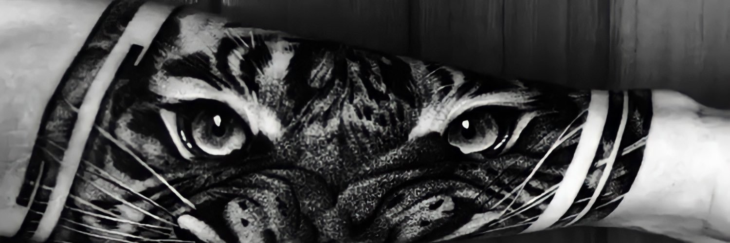 Mario7FV's profile banner image