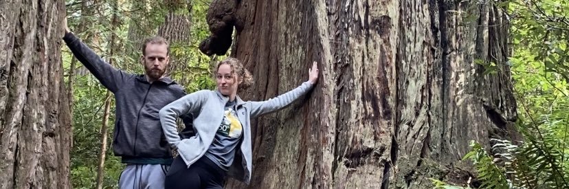 shaunasappy's profile banner image
