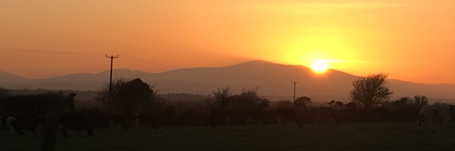 Colm Óg Doran banner