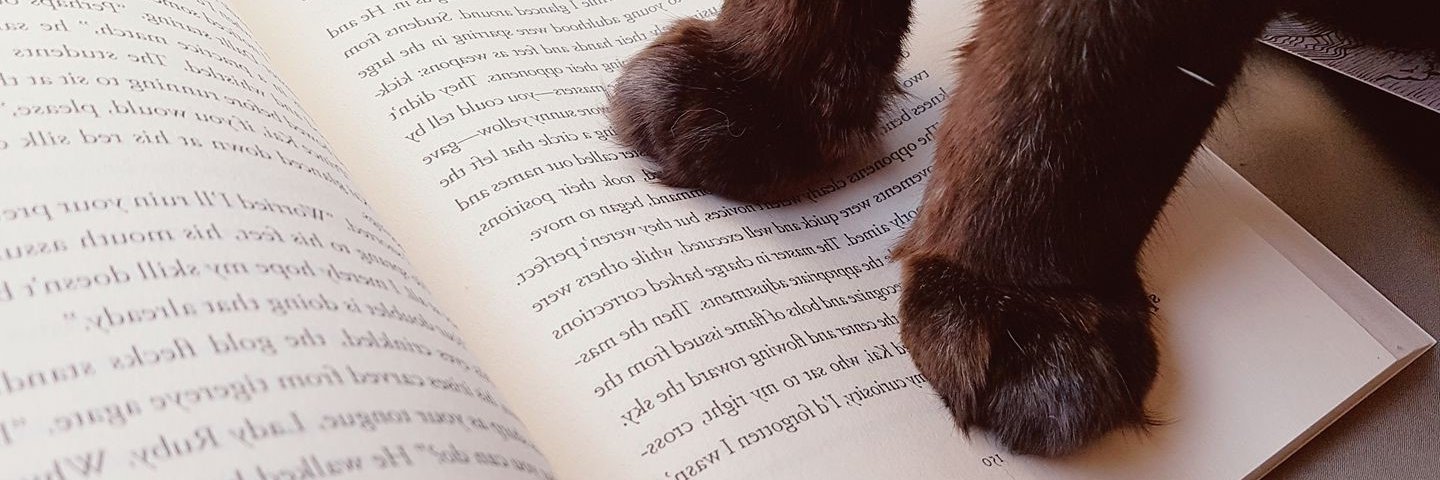 LibraryBuggalug's profile banner image