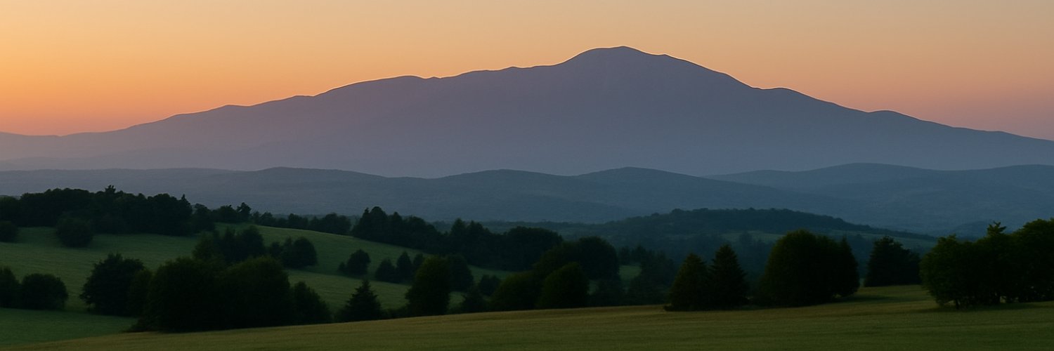 Nick from 🍋 banner