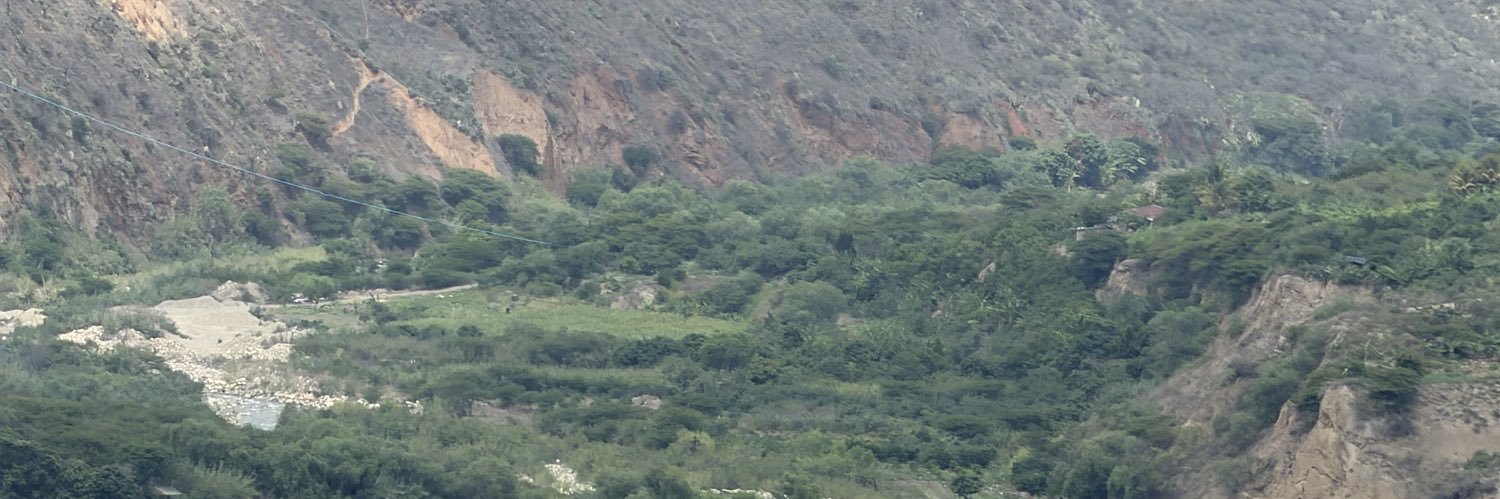 yellowbridge's profile banner image