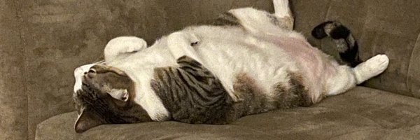 john_bruno Profile Banner