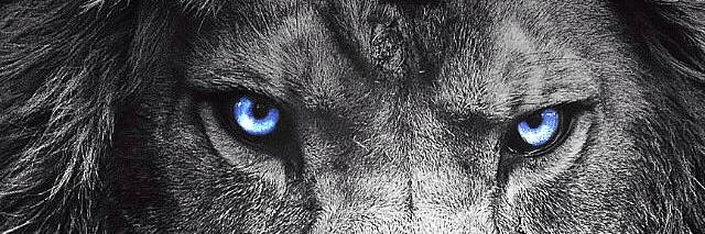 ecroas's profile banner image