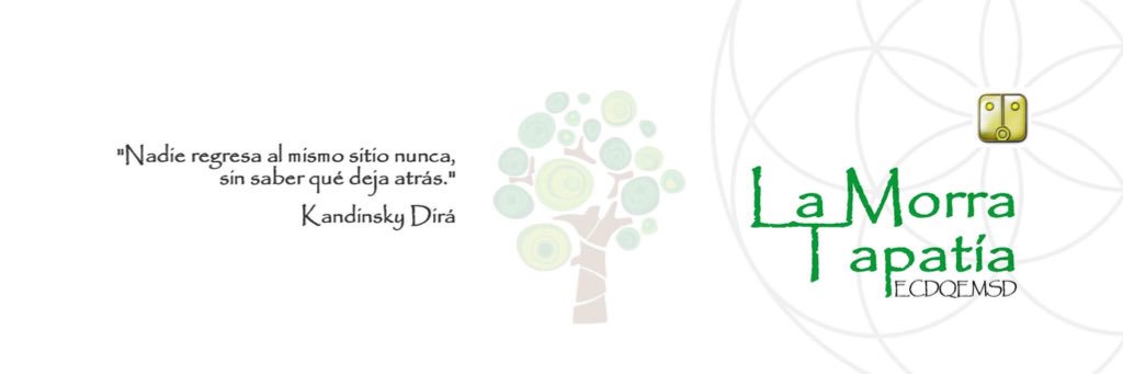 lucy_dez's profile banner image