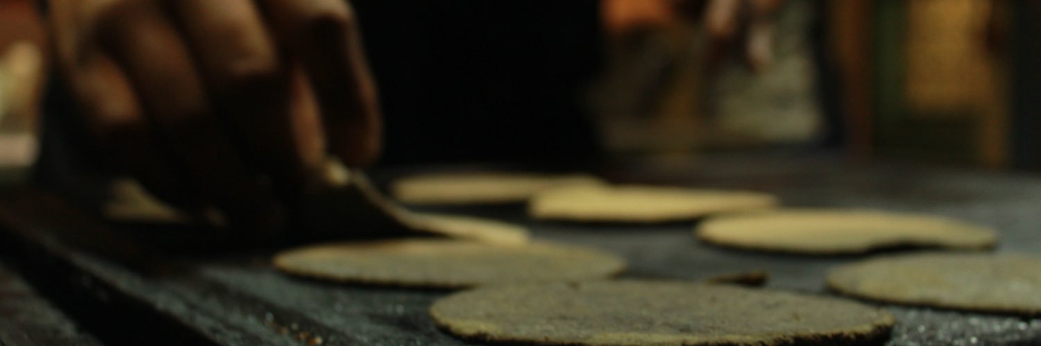 Mexa Gastrofonda banner