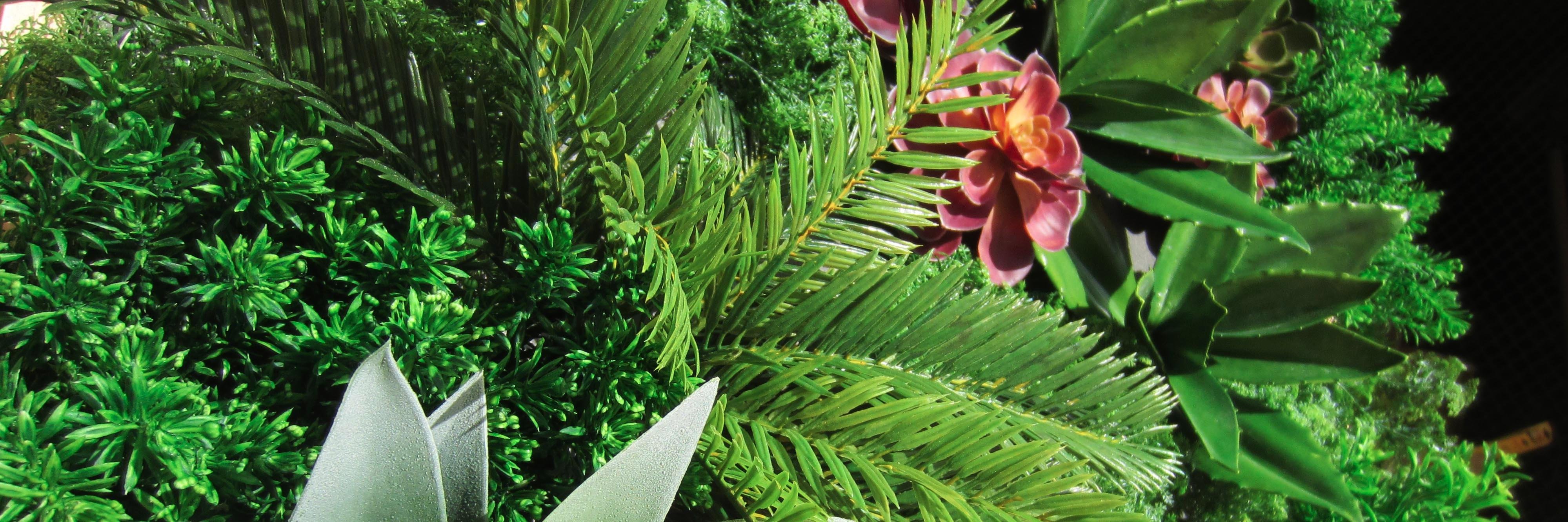 evergreenwalls's profile banner image
