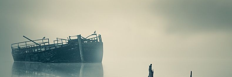 hatecarrott's profile banner image