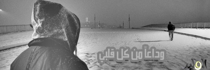 ali41980257's profile banner image