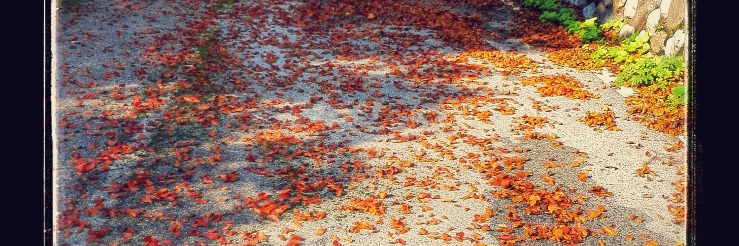 Carnia Fidelis. banner