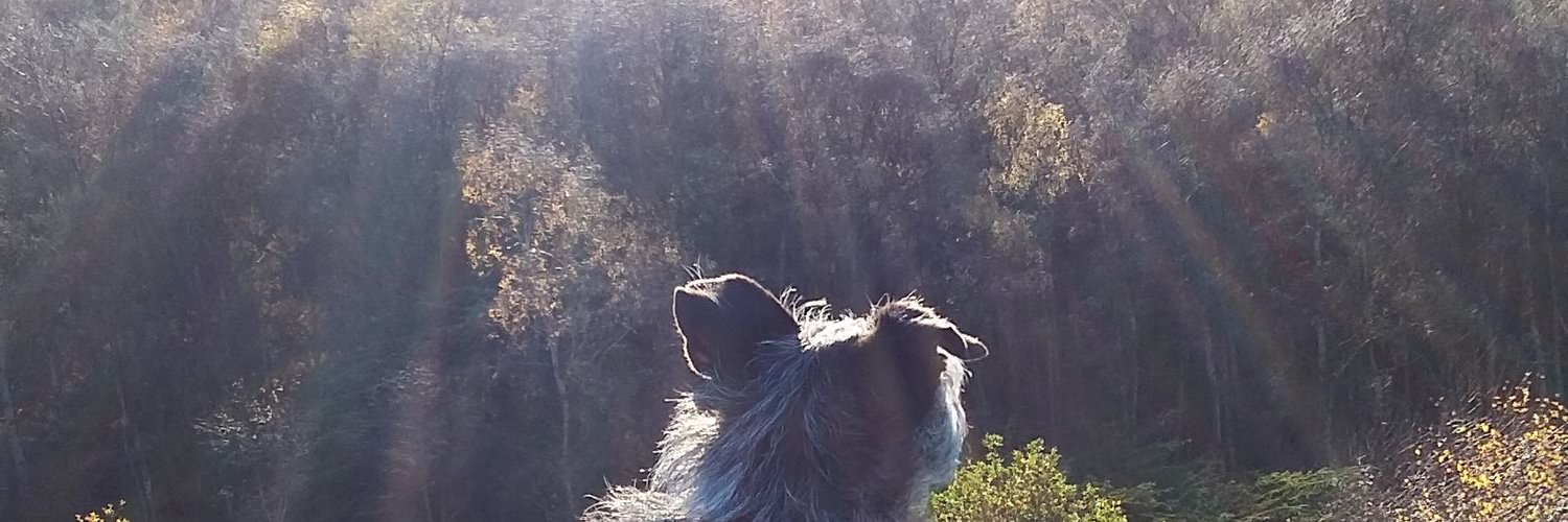 5r4n's profile banner image