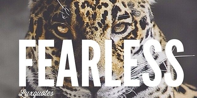 MichaelOC's profile banner image