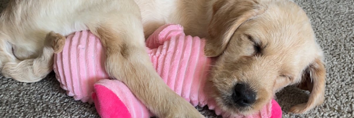 macy10vp's profile banner image
