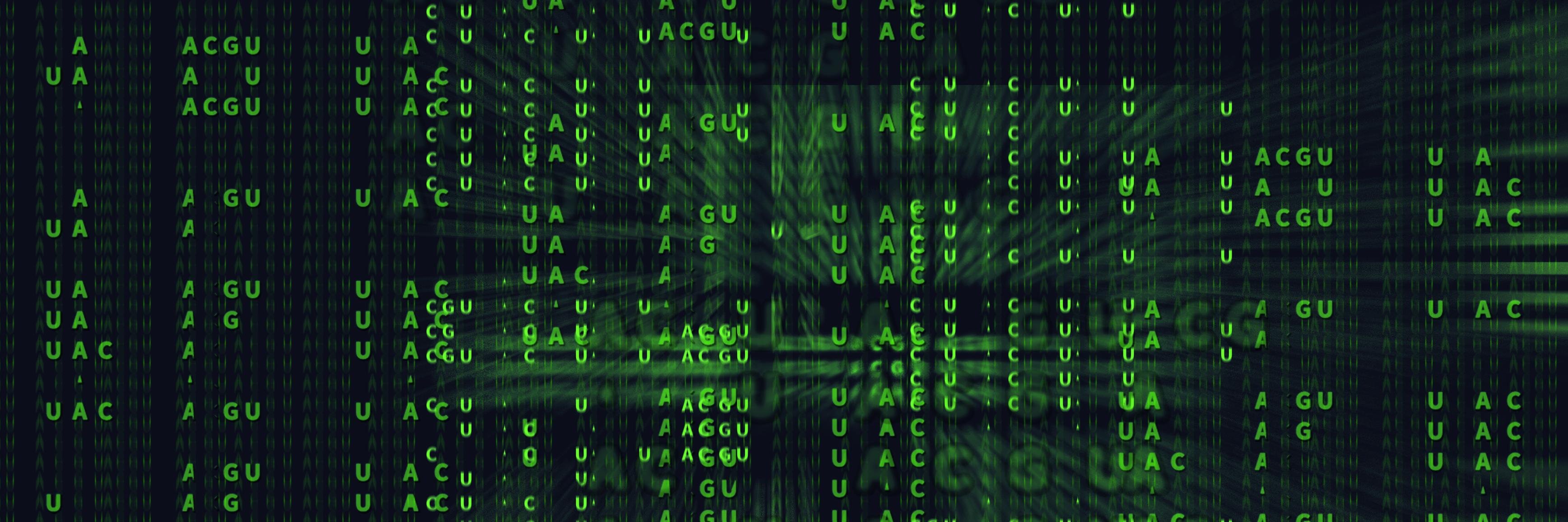 RNASeq_Summit's profile banner image