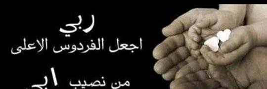heba_wafeek's profile banner image