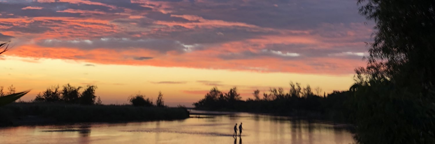 gelanqt's profile banner image