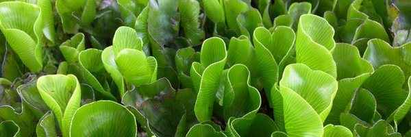 MthreeGee Profile Banner