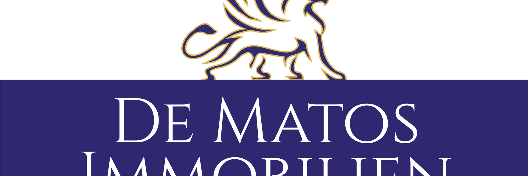 DE MATOS banner