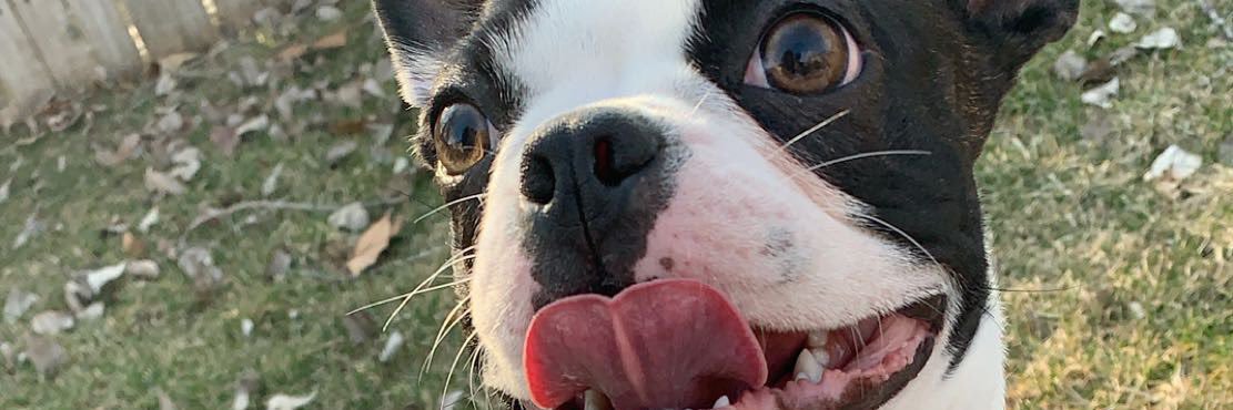 dooodiii18's profile banner image