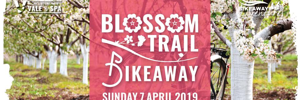 BBikeaway's profile banner image