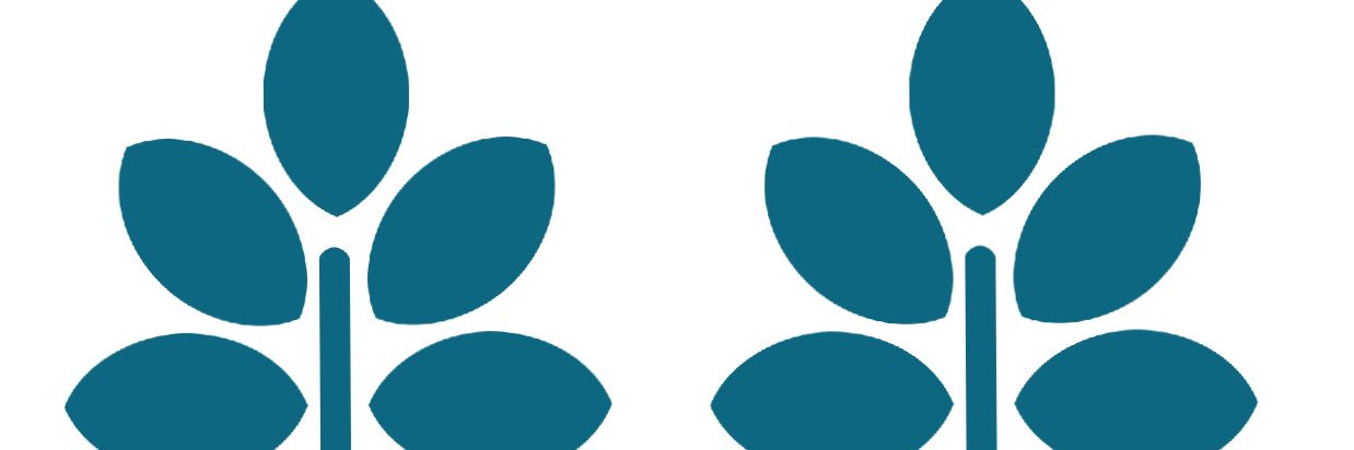 mithilakivaani's profile banner image