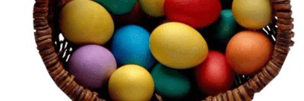 Massivedick3 Profile Banner