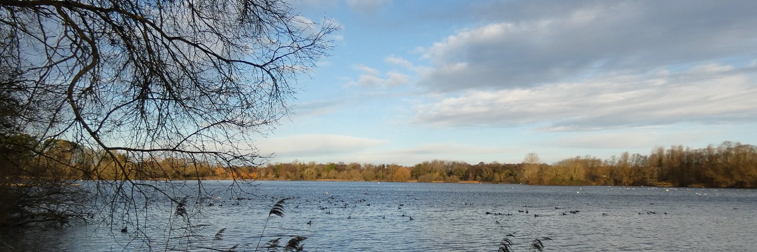 SWTLackfordLake's profile banner image