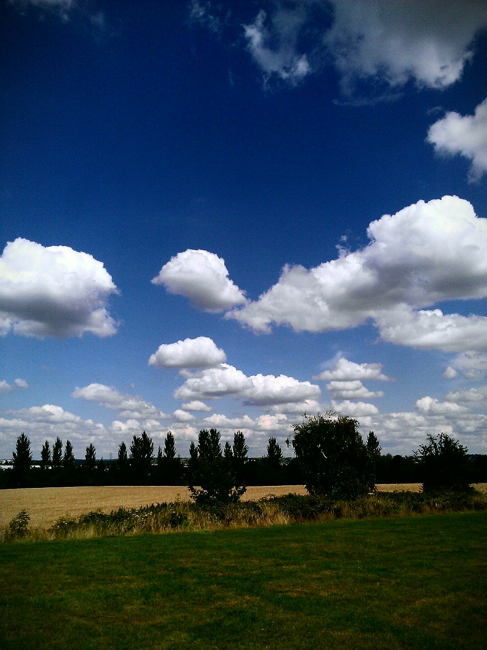 drogonherc's profile banner image