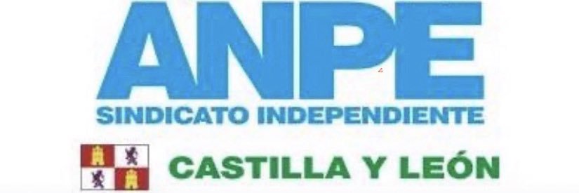 Anpe Castilla y León banner
