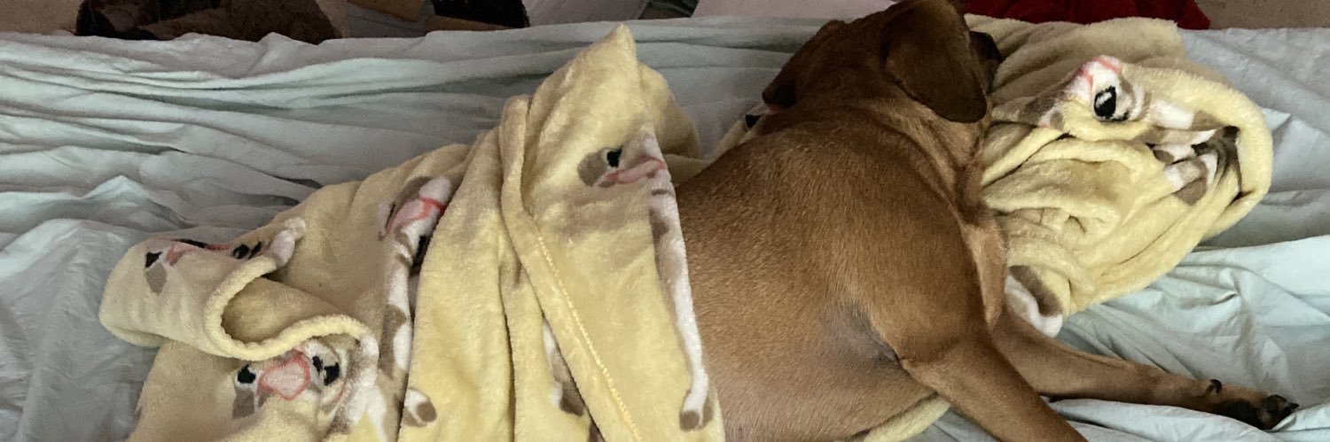 Littlebunnyone's profile banner image