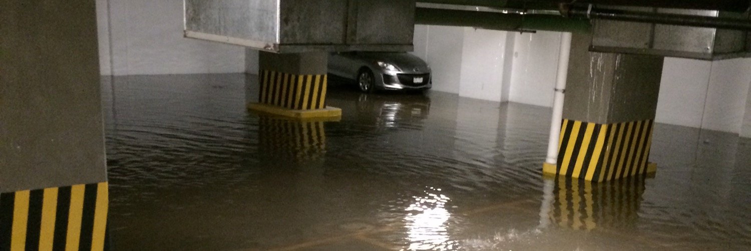 Demanda Polárea banner