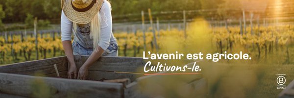 MiiMOSA_fr Profile Banner