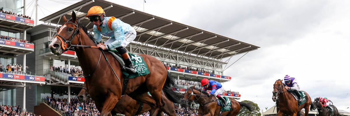 Middleham Park Racing banner