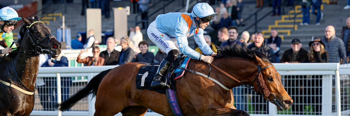 Middleham Park Racing banner