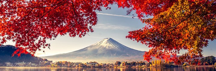 yuitan5392's profile banner image