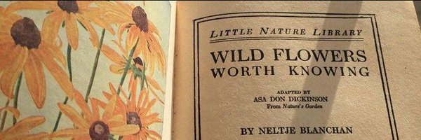 ceshalie Profile Banner